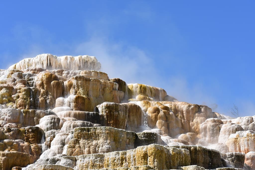 Badlands / Tetons / Yellowstone 2019